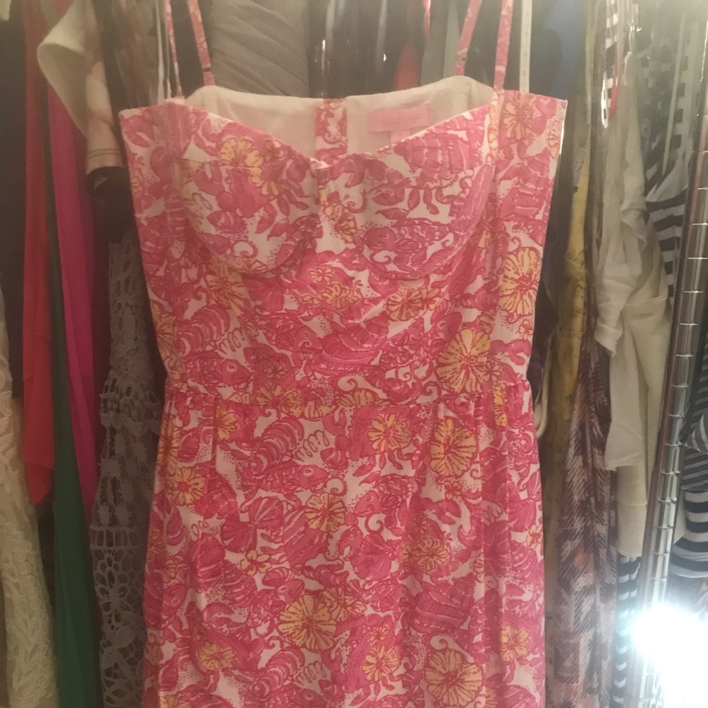 Summer Lilly Day Dress